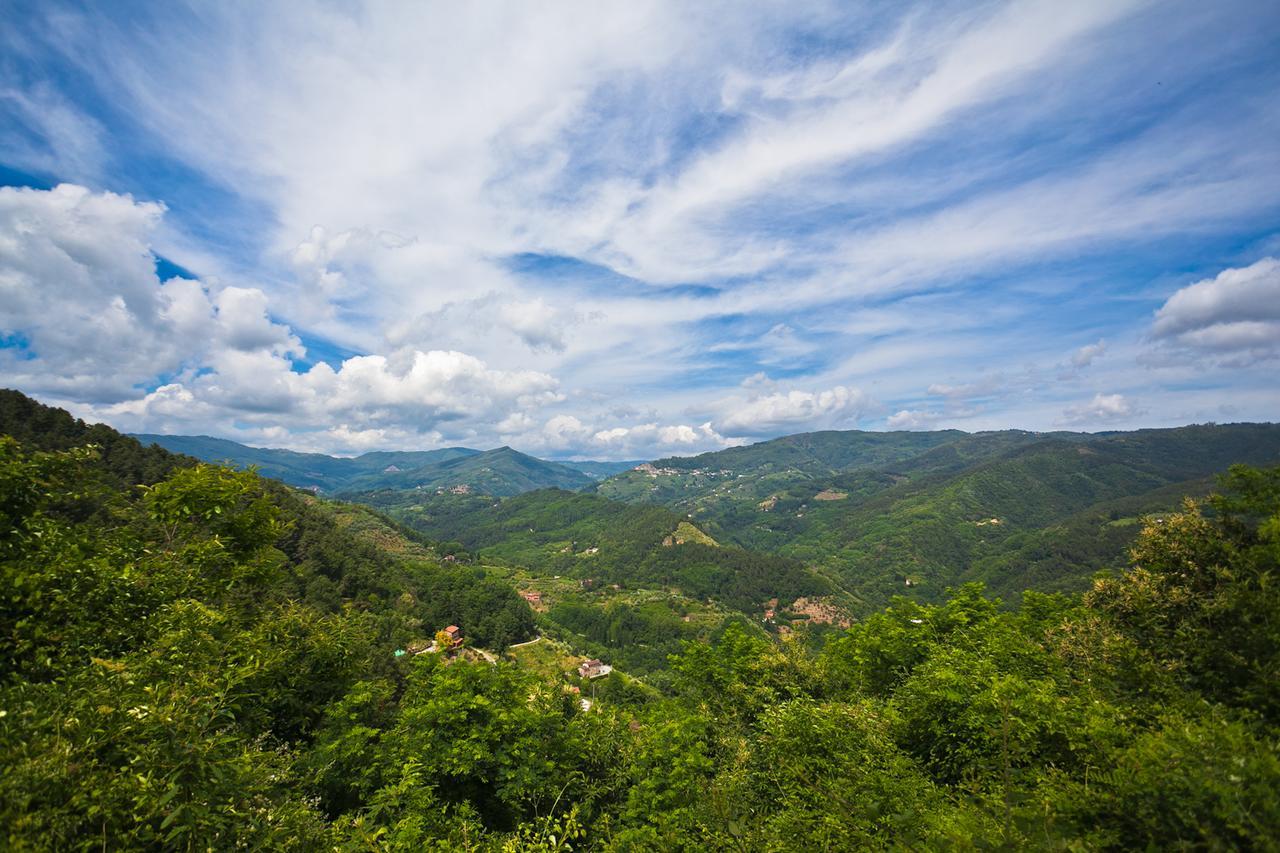 Fattoria Di Pietrabuona Apartment Пеша Екстериор снимка