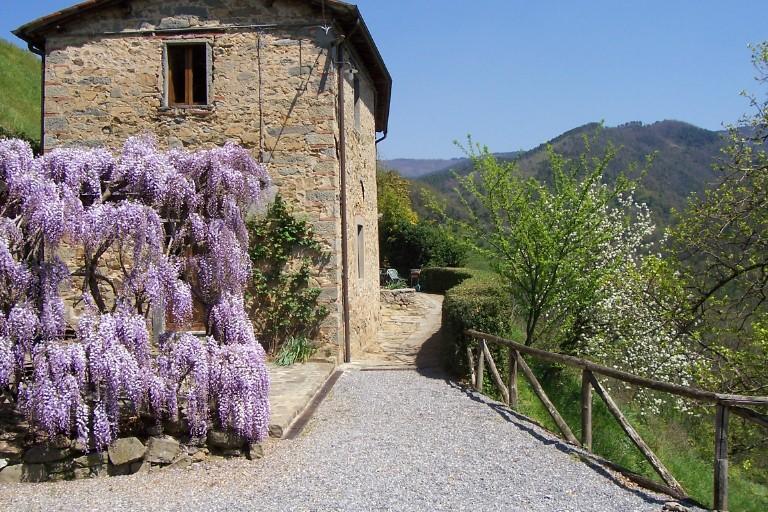 Fattoria Di Pietrabuona Apartment Пеша Екстериор снимка