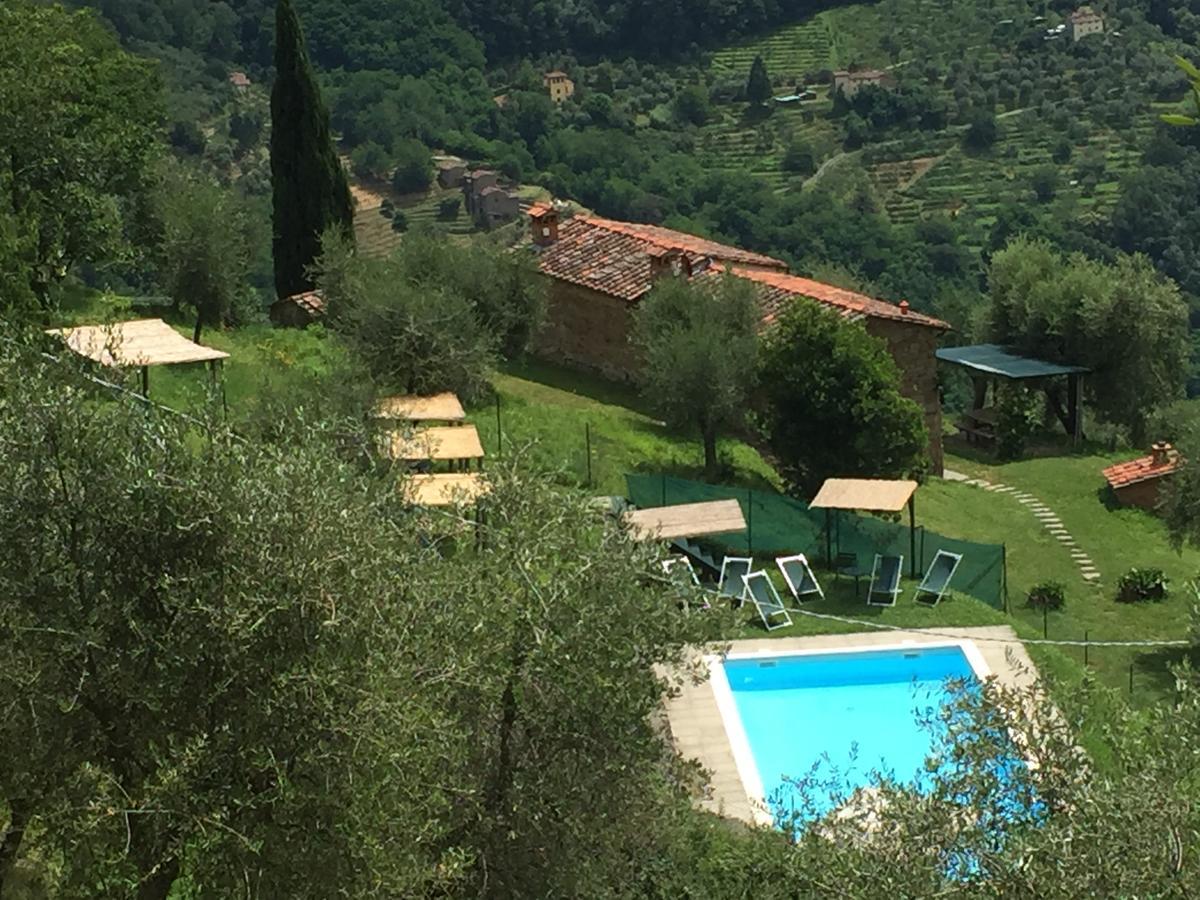 Fattoria Di Pietrabuona Apartment Пеша Екстериор снимка