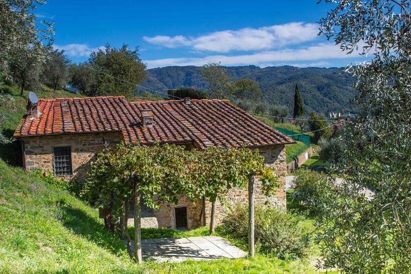 Fattoria Di Pietrabuona Apartment Пеша Екстериор снимка